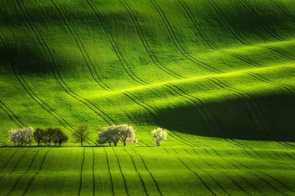 Inscape Photo Tours, South Moravia