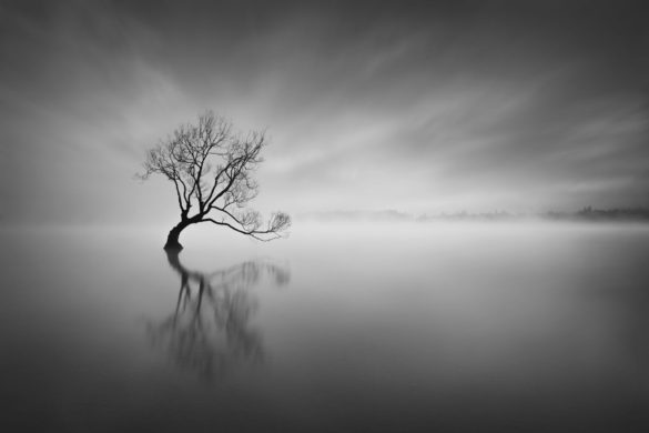 Inscape Photography Workshops, New Zealand