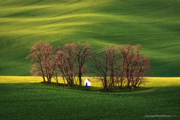 Czech Republic Photo Tour, Moravian Tuscany