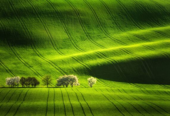South Moravia Photo Tour with Inscape Photo Tours. Rolling fields