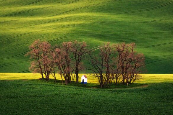 South Moravia Photo Tour with Inscape Photo Tours. Rolling fields