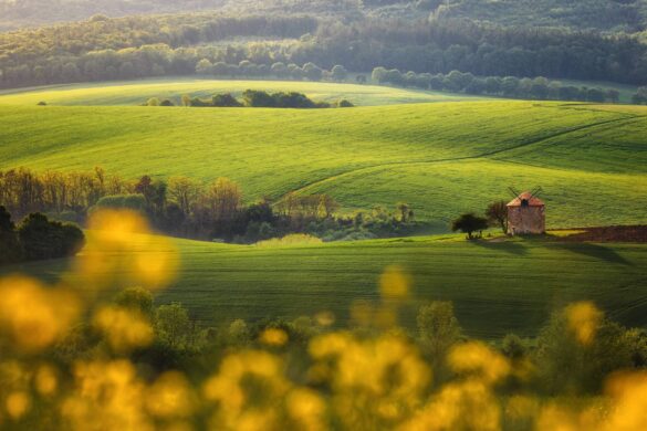 South Moravia Photo Tour with Inscape Photo Tours. Rolling fields