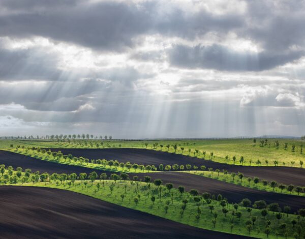 South Moravia Photo Tour with Inscape Photo Tours. Rolling fields