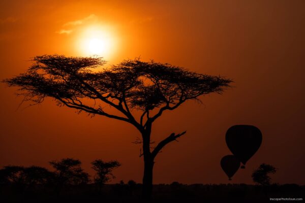 Tanzania Photo Tour - Sunrise and Acacia
