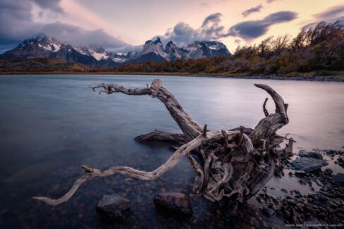 Patagonia photo workshop - Torres Del Paine National Park