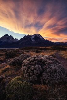 Patagonia photo workshop - Torres Del Paine National Park