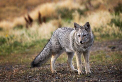 Patagonia photo workshop - Torres Del Paine National Park