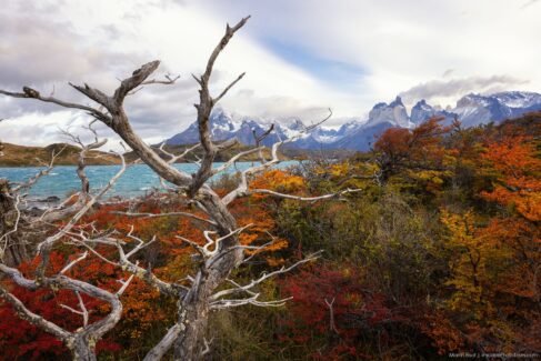 Patagonia photo workshop - Torres Del Paine National Park