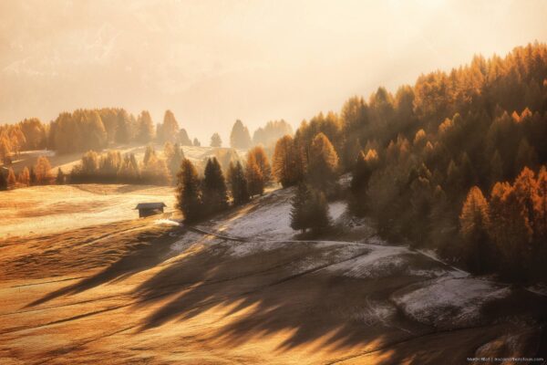 Dolomites photo workshop - Italy, Alpe de Suissi